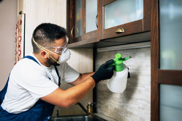 Best Exterminator Services  in Delhi Hills, OH