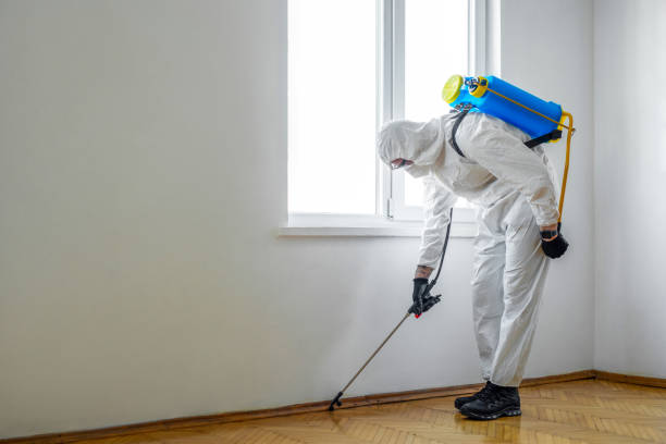 Best Residential Pest Control  in Delhi Hills, OH