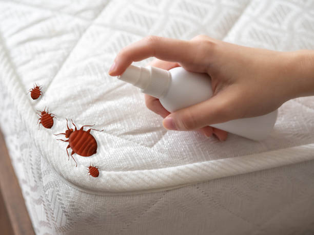 Best Exterminator Services  in Delhi Hills, OH